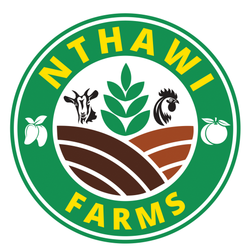 Nthawi Farms – Organic Farms
